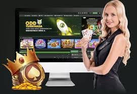 7000bet com
